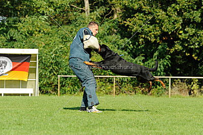 Champ vom Zauberwald