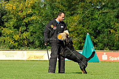 Champ vom Zauberwald