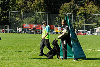 Champ vom Zauberwald