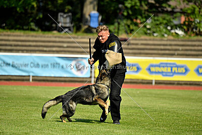 Chapa vom Drachenwolf