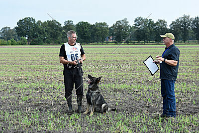 Chapa vom Drachenwolf