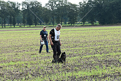 Chapa vom Drachenwolf