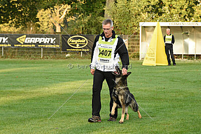 Chapa vom Drachenwolf