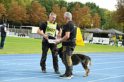 Chapa vom Drachenwolf