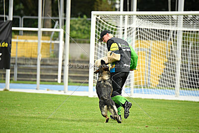 Chapa vom Drachenwolf