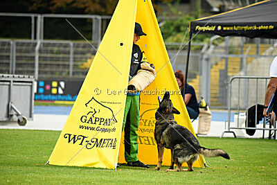 Chapa vom Drachenwolf