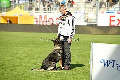 Chapa vom Drachenwolf