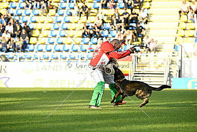 Charlie Bobo z Ditcina dvora