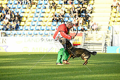 Charlie Bobo z Ditcina dvora