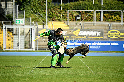 Chase von der Löwenstadt