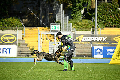 Chase von der Löwenstadt