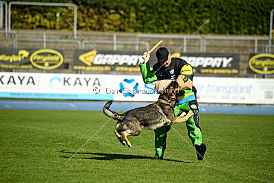 Chase von der Löwenstadt