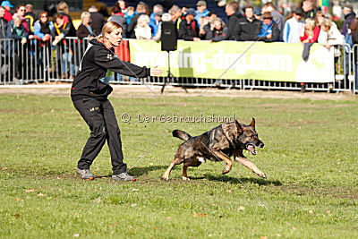 Checker vom Schwäbischen Land