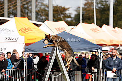 Checker vom Schwäbischen Land