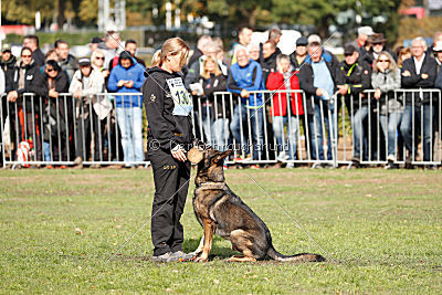 Checker vom Schwäbischen Land