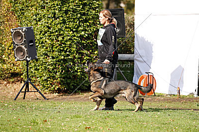 Checker vom Schwäbischen Land