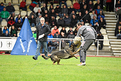 Checker vom Schwäbischen Land