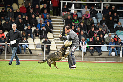 Checker vom Schwäbischen Land
