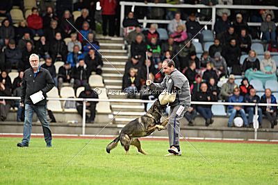 Checker vom Schwäbischen Land
