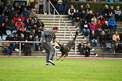 Checker vom Schwäbischen Land