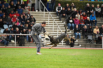 Checker vom Schwäbischen Land