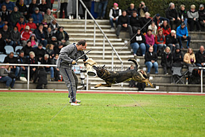 Checker vom Schwäbischen Land