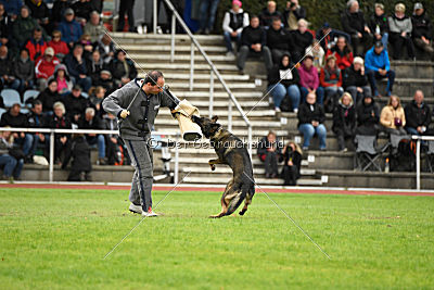Checker vom Schwäbischen Land