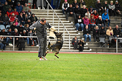 Checker vom Schwäbischen Land