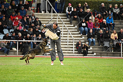 Checker vom Schwäbischen Land