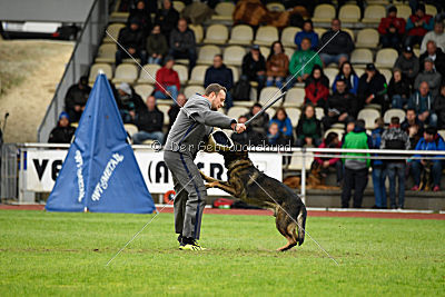 Checker vom Schwäbischen Land