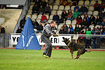 Checker vom Schwäbischen Land