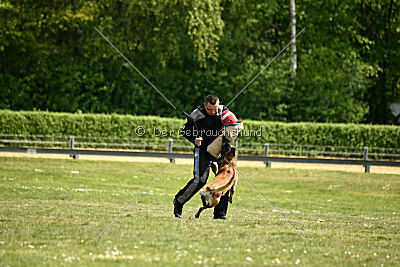 Cheng von Malihatten