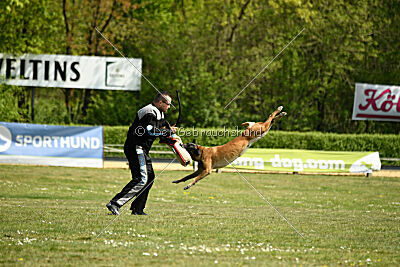 Cheng von Malihatten