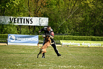 Cheng von Malihatten