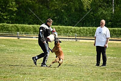 Cheng von Malihatten