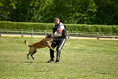 Cheng von Malihatten