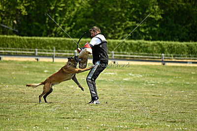 Cheng von Malihatten