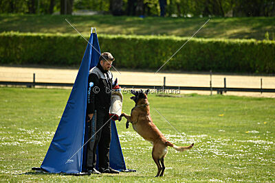 Cheng von Malihatten