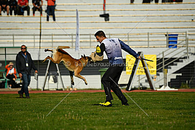 Cherokee vom Esadera