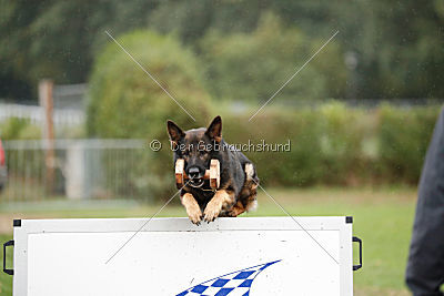 Chicco vom Weinbergblick