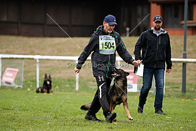 Chicco vom Weinbergblick