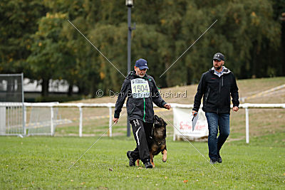 Chicco vom Weinbergblick