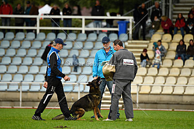 Chicco vom Weinbergblick