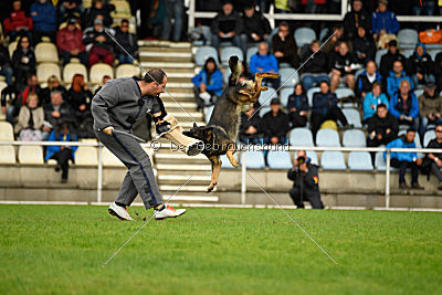 Chicco vom Weinbergblick