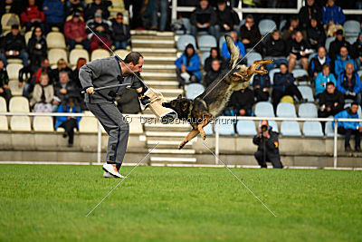 Chicco vom Weinbergblick