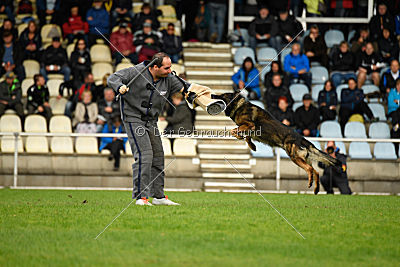 Chicco vom Weinbergblick