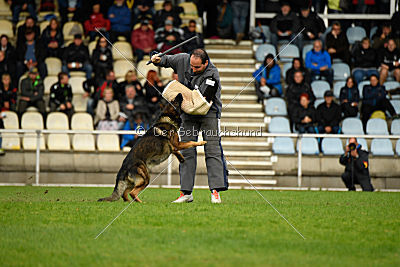 Chicco vom Weinbergblick