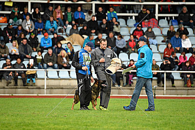 Chicco vom Weinbergblick