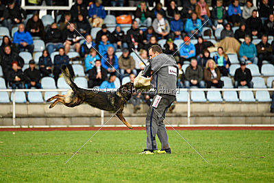 Chicco vom Weinbergblick