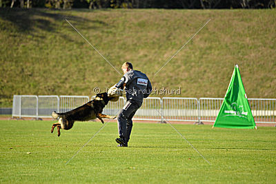 Chicco vom Weinbergblick